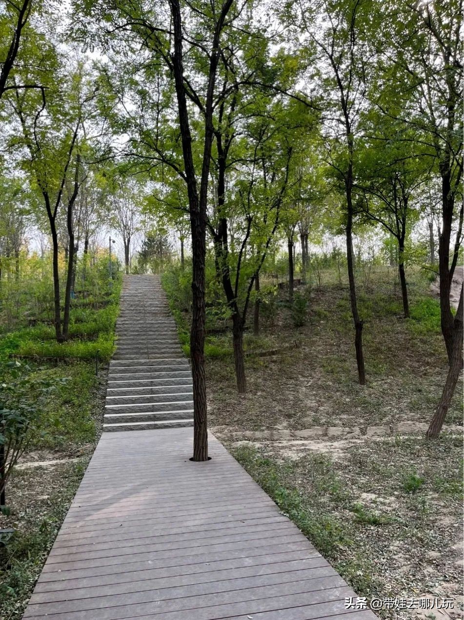 藏在二环的超小众免费公园,免费游玩的小公园