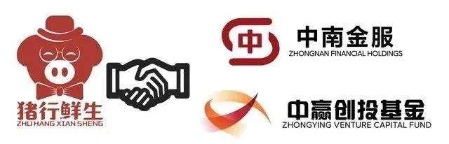 预制菜引进哪个学校了,预制菜产业全面发展