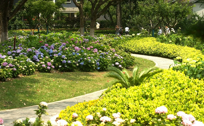 12月南京有哪些免费景点,南京市民免费旅游景点