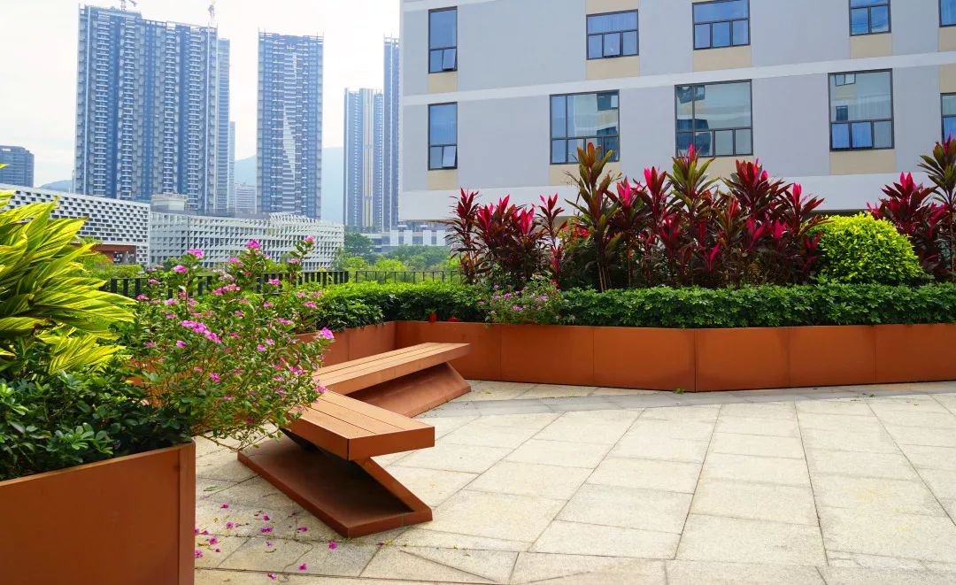 大学校园绿化设计,现代校园绿化规划设计