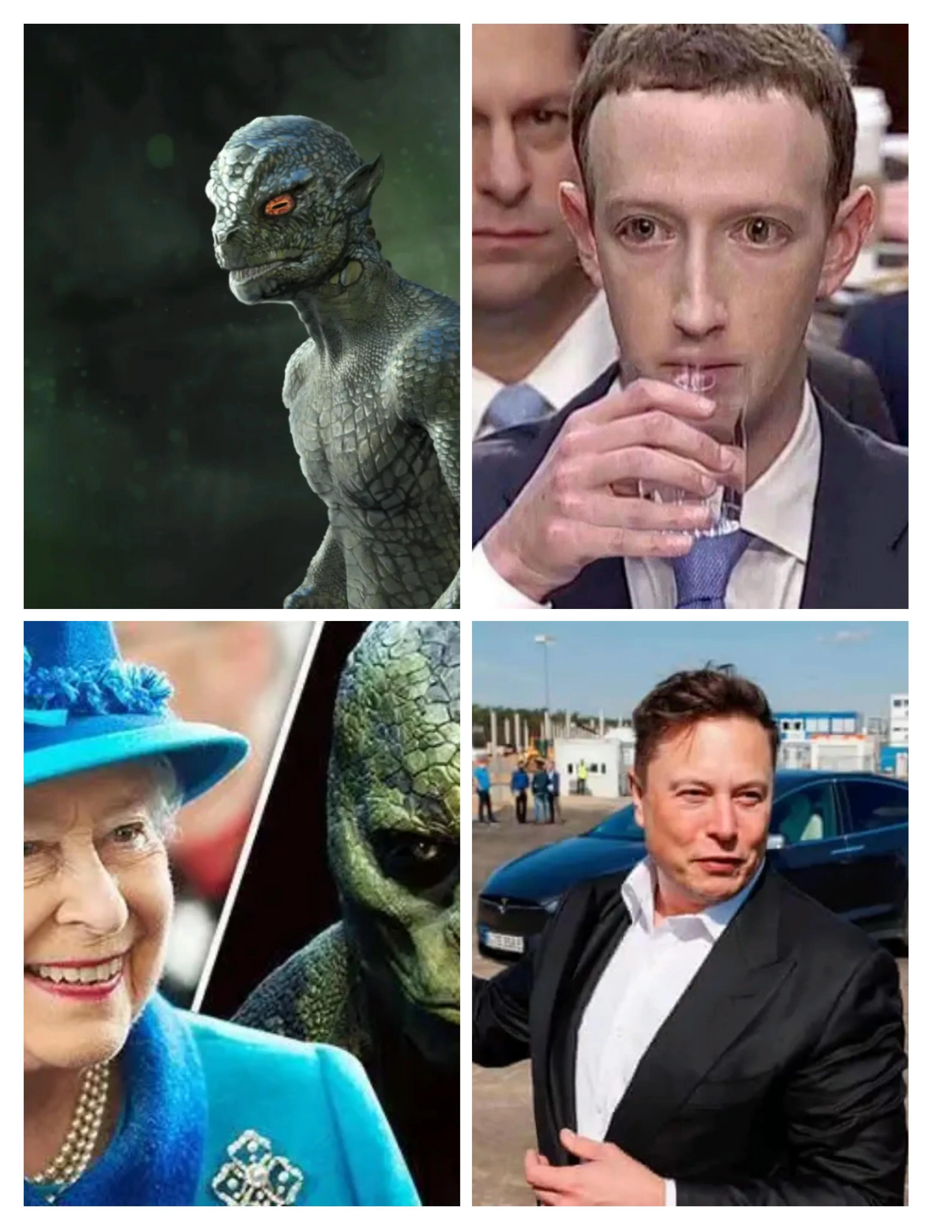 地球真存在蜥蜴人吗,蜥蜴人是不是真的生活在地球上