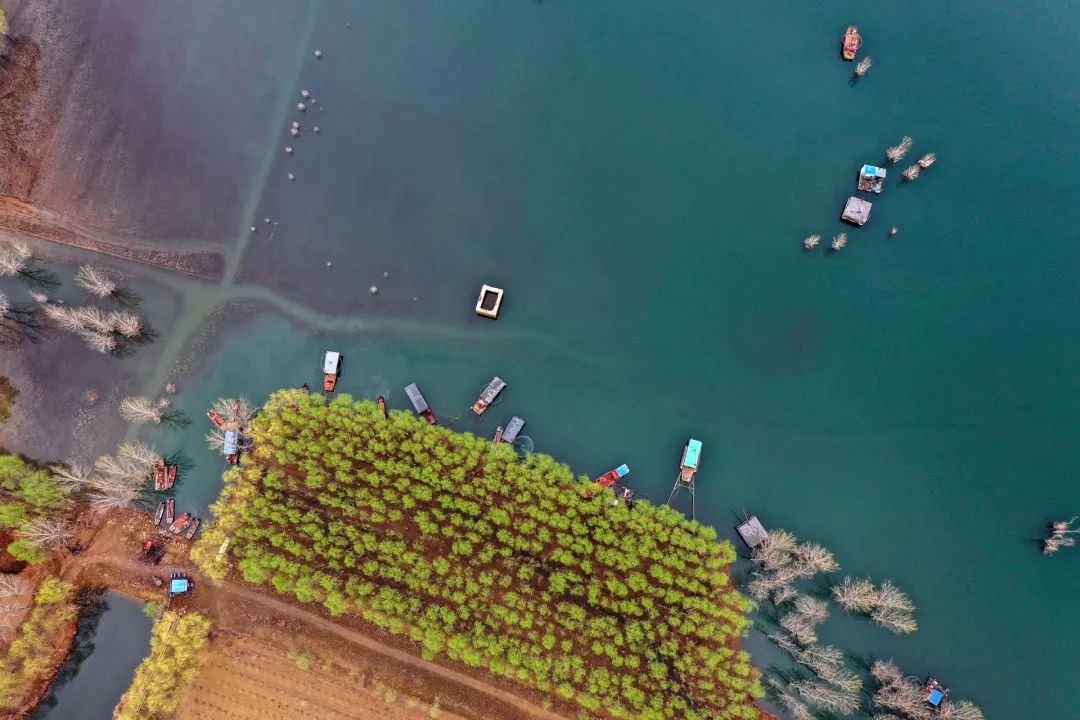 迎接党的20大美术作品,喜迎二十大乡村摄影展