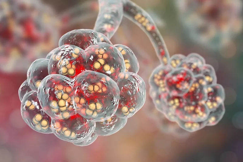 慢阻肺患者秋冬季需预防急性发作,对慢阻肺最好的中成药