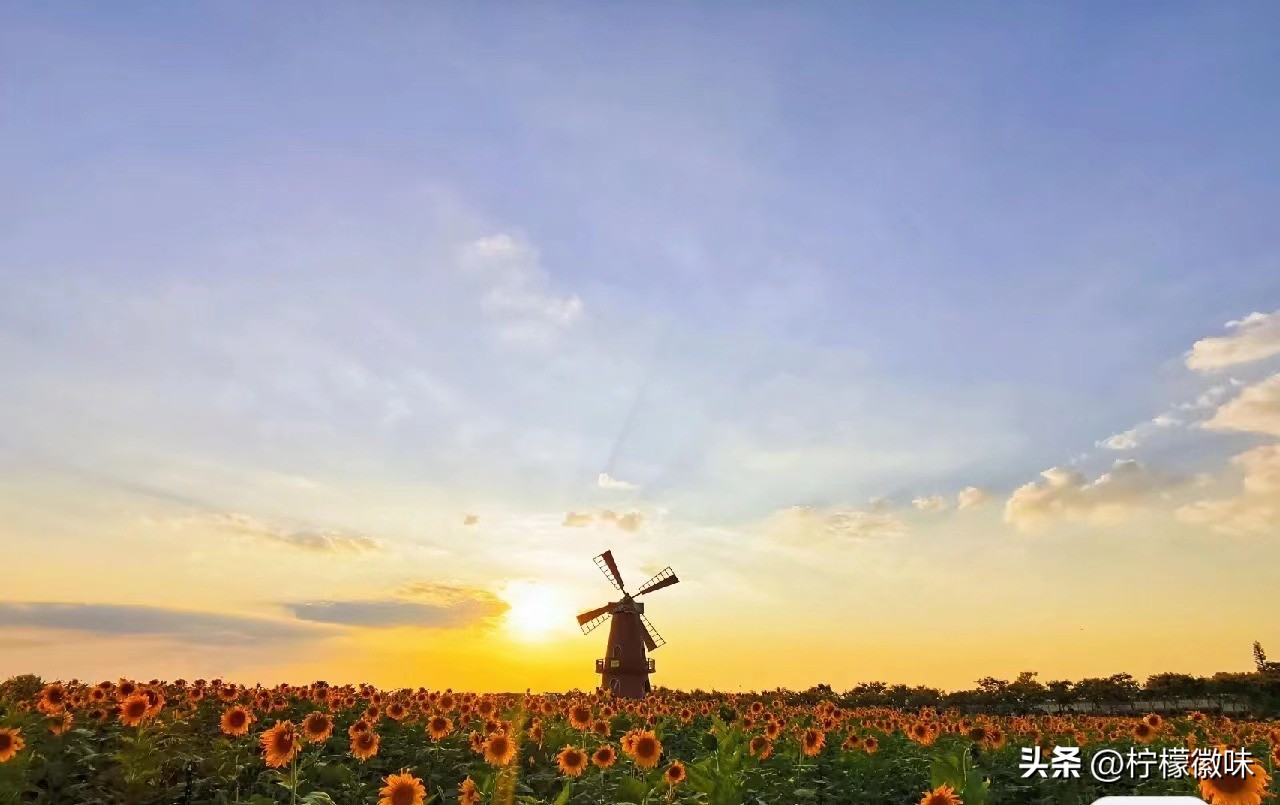 合肥周边小众宝藏旅行地,合肥周末一日游必去景点排行榜