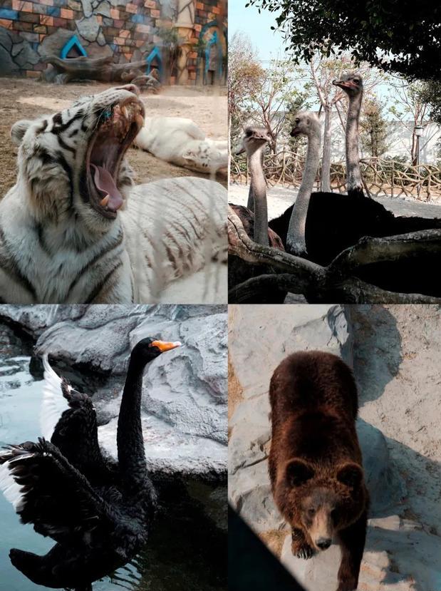 福州宝藏打卡地,福州的小众宝藏目的地