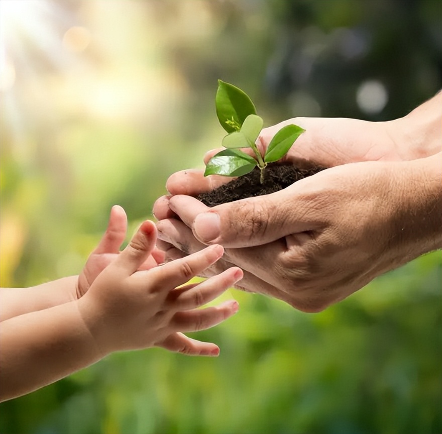 女孩被虐待致死案撤销原判,韩国虐待女童最新案件判死刑