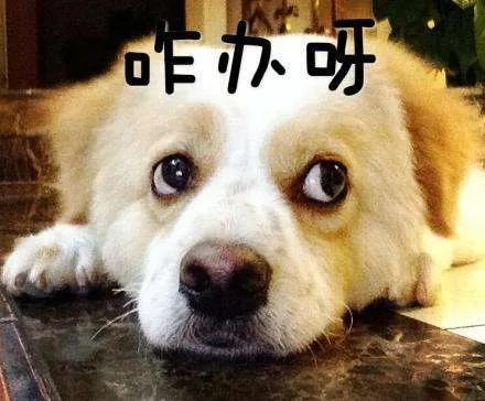 离婚女人想孩子怎么办,离婚的女人老了怎么办