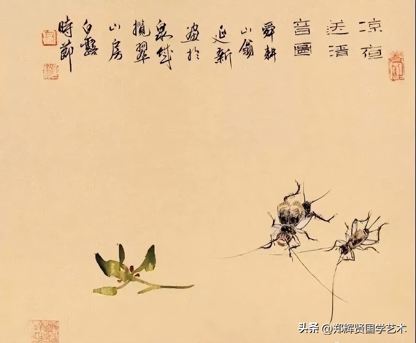 牛郎织女天河相隔鹊桥相会,牛郎织女鹊桥相会乌鸦搭桥