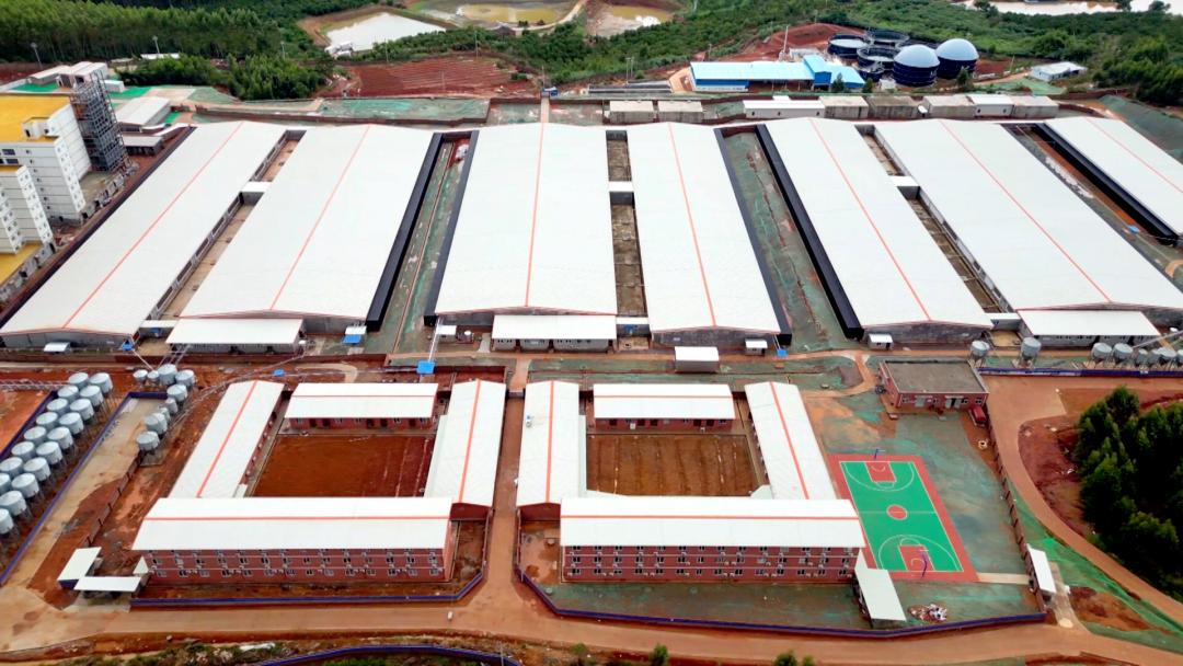 罗定最大的猪场项目,罗定市船步猪场工程