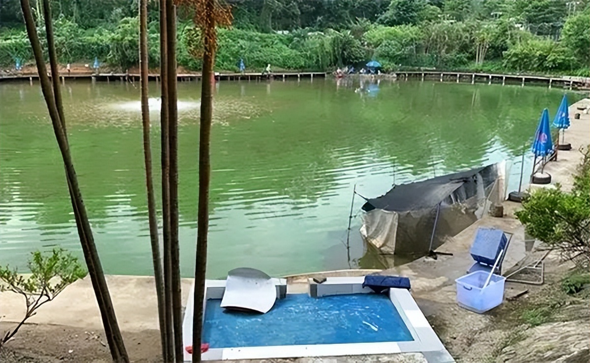 深圳鱼获多的钓鱼场,深圳最新钓鱼地点推荐