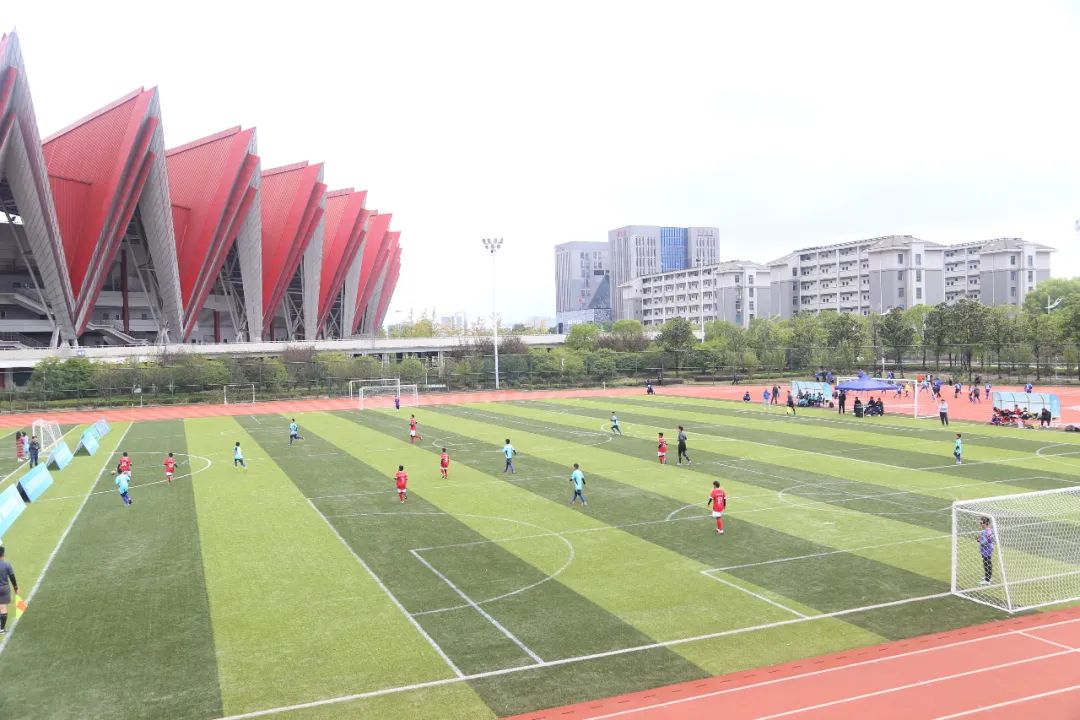 东方红小学学生获奖名单,东方红小学足球比赛