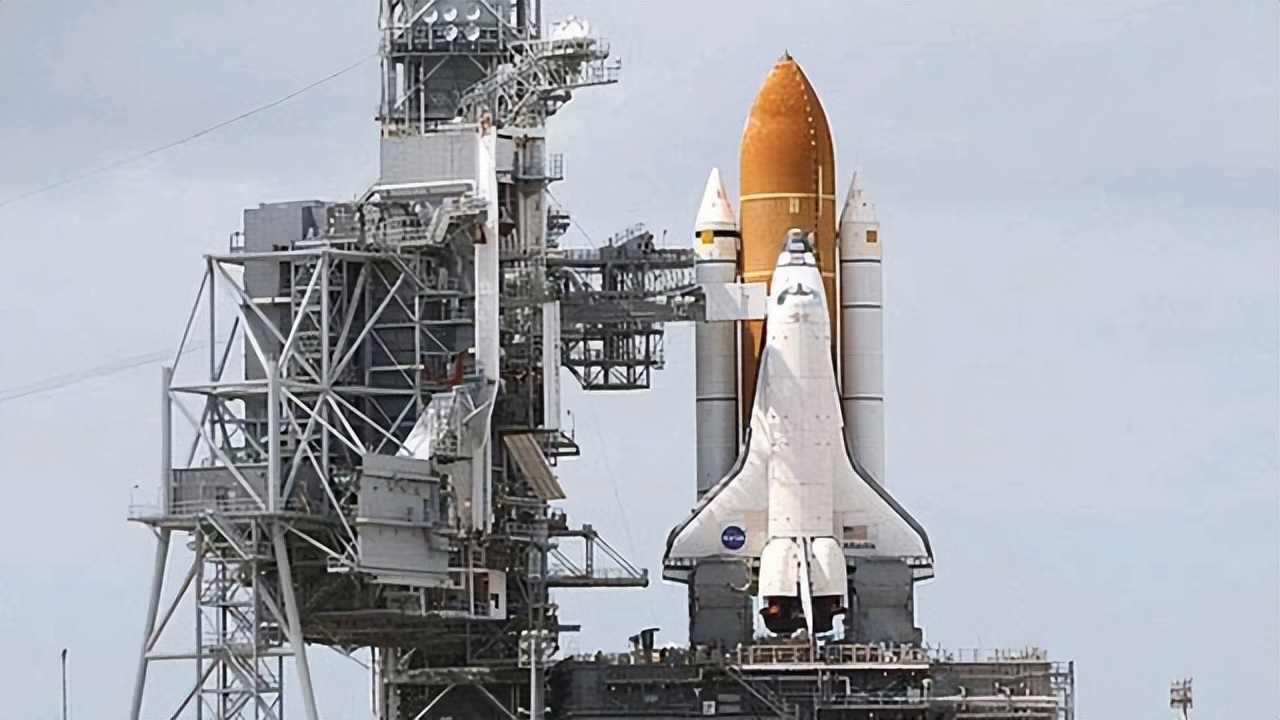 鼎足龟粮与海豚龟粮哪个更好,适合所有水龟食用的龟粮