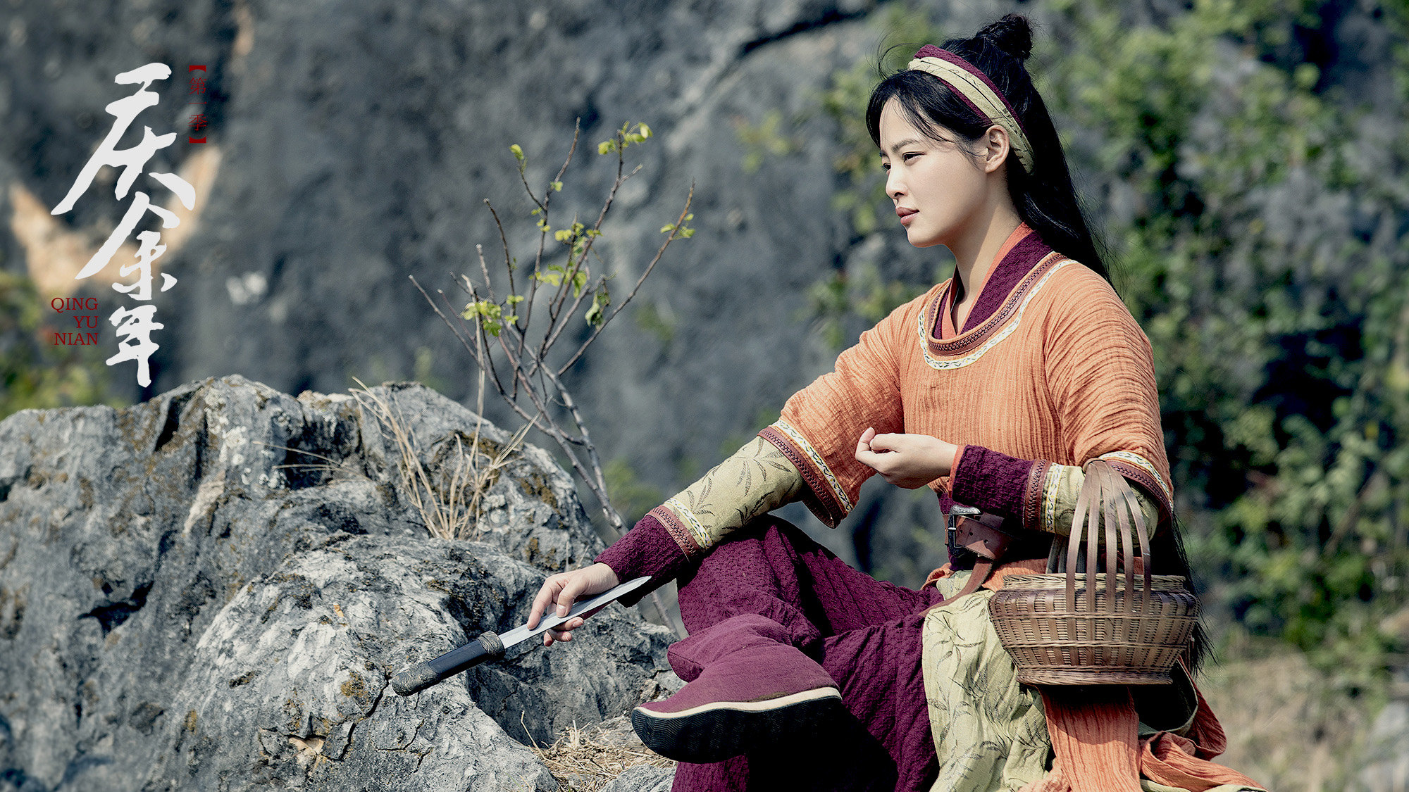 零差评4部电视剧庆余年,排名前十网剧庆余年垫底