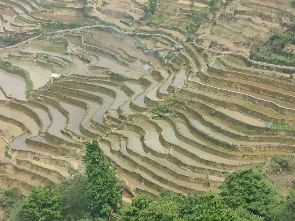 元阳梯田几月最佳,元阳梯田风景区