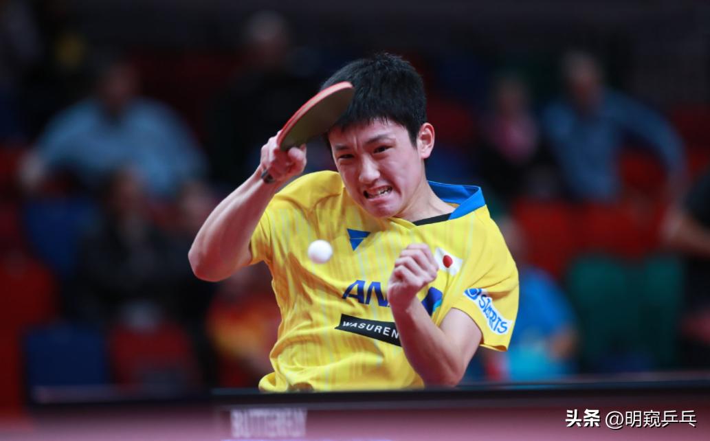 2021年世乒赛男单8强梁靖崑,世乒赛半决赛直播中国队瑞典