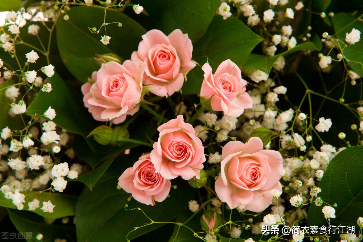 她做保姆这些年之豪门生活全集,她做保姆的这些年豪门生活之八