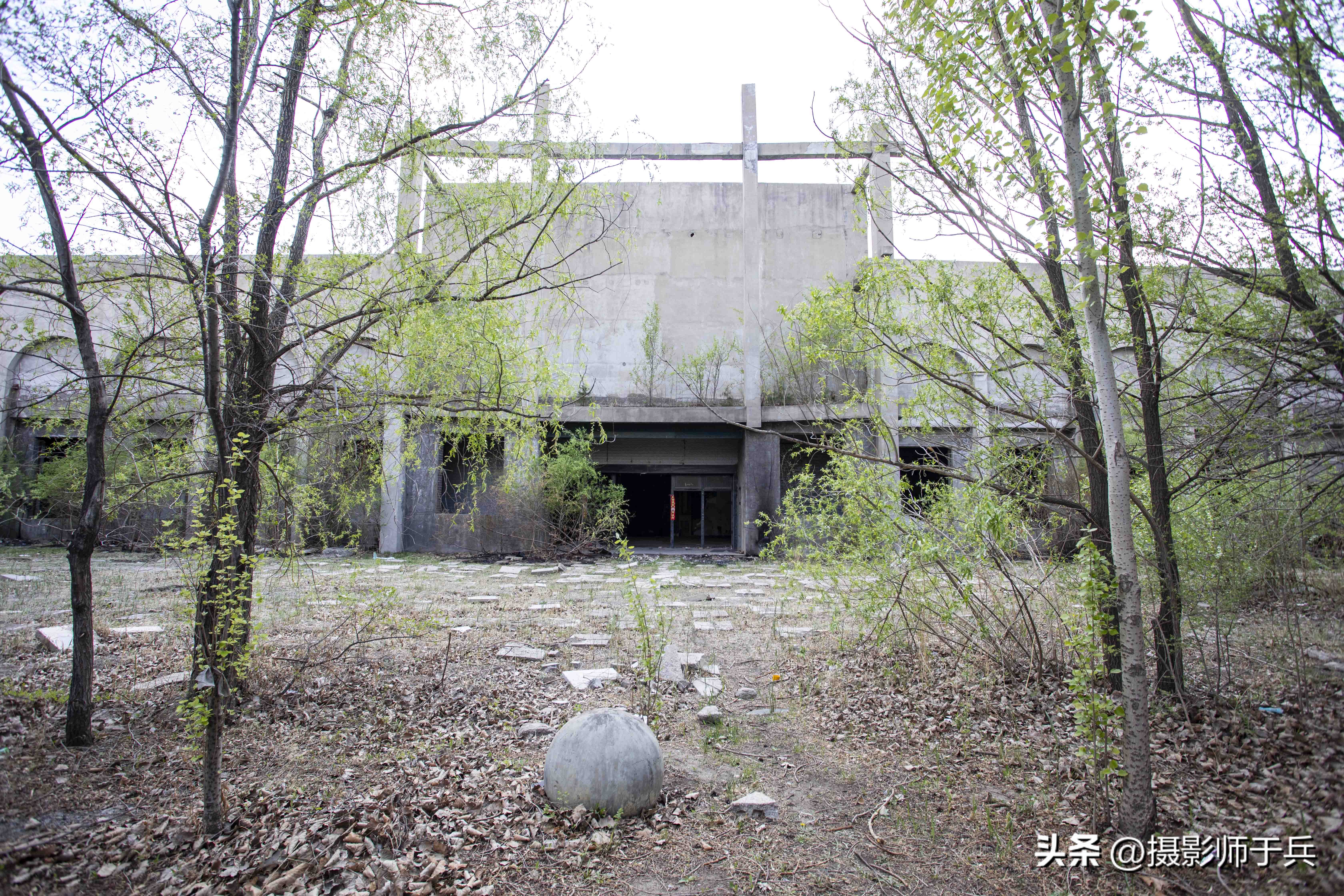 大庆狮子楼,大庆狮子楼饭店