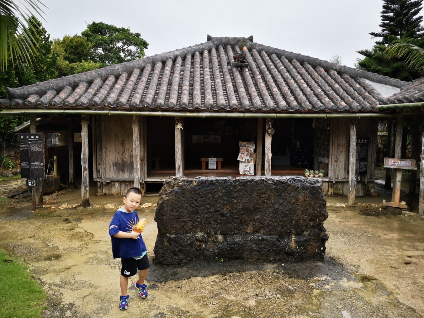 暑期档2019年,2019年暑期档