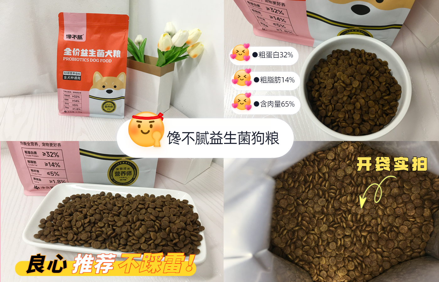 什么狗活的寿命最长还好养,寿命长的5种狗排行榜
