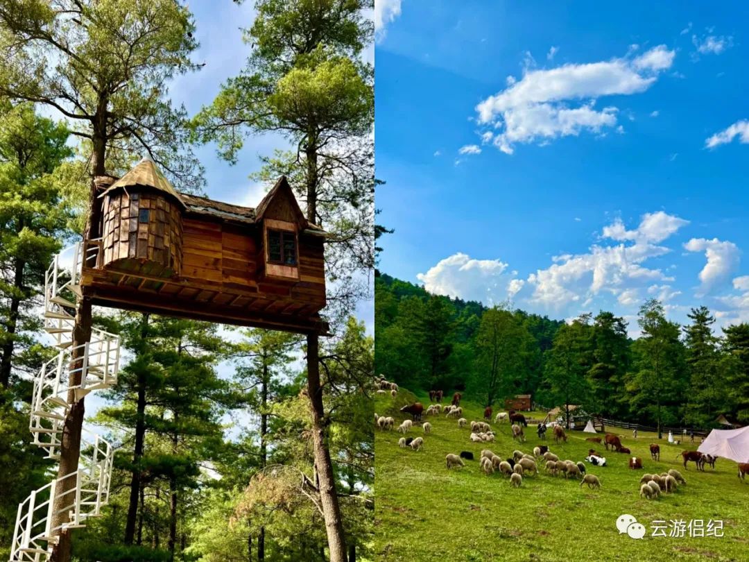 昆明周边露营地推荐免费可过夜 (昆明周边16个最佳户外露营地大全)