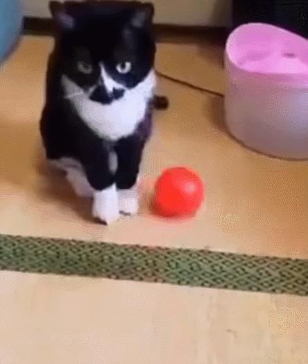 每日一笑，自己拆的家就是有安全感