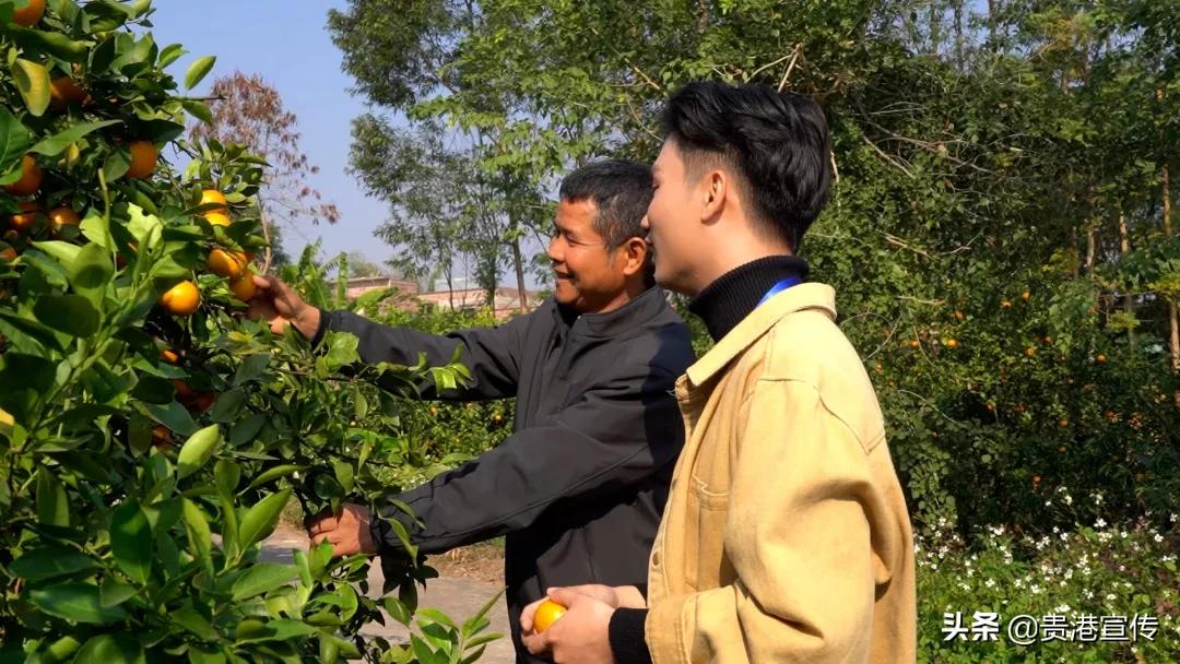 市供销合作社三农服务中心助增收,我为农民办实事