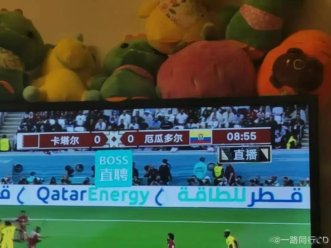 世界杯广告招聘,世界杯招聘广告视频