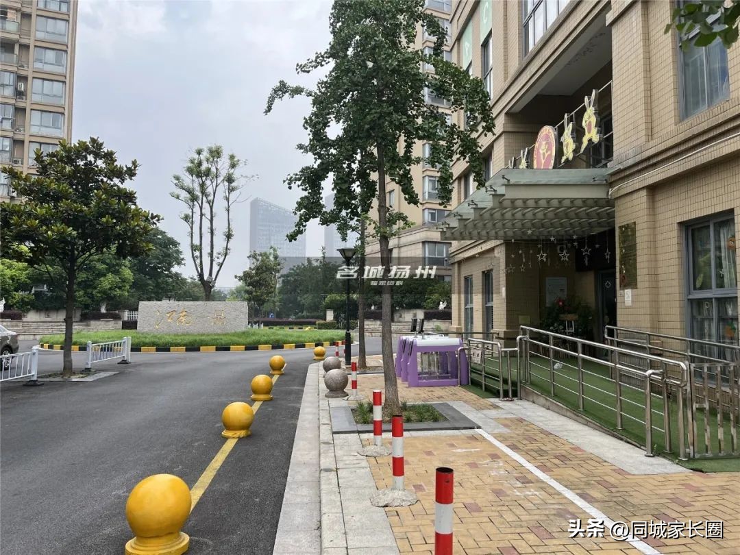 扬州培训机构停办名单,扬州学校停课通知最新