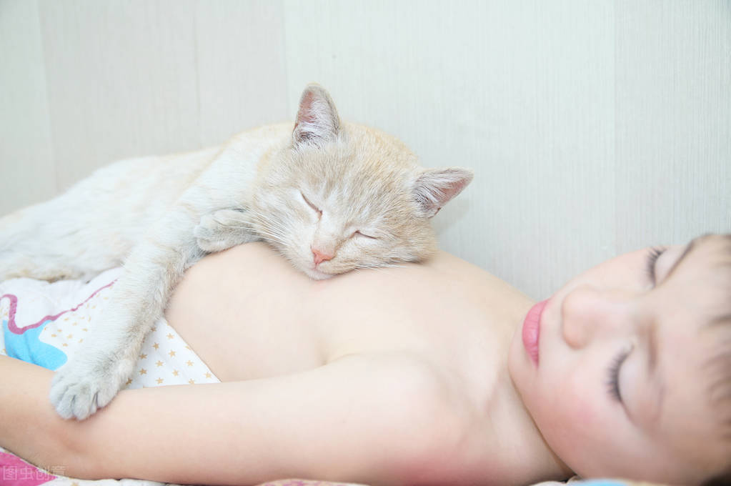 宠物应激如何预防降低应激反应,宠物应激不要慌教你如何应对