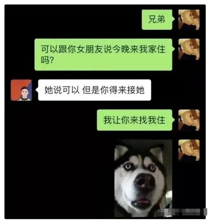 神回复：真假美猴王？哪个才是真的蜜雪冰城？神评亮了啊