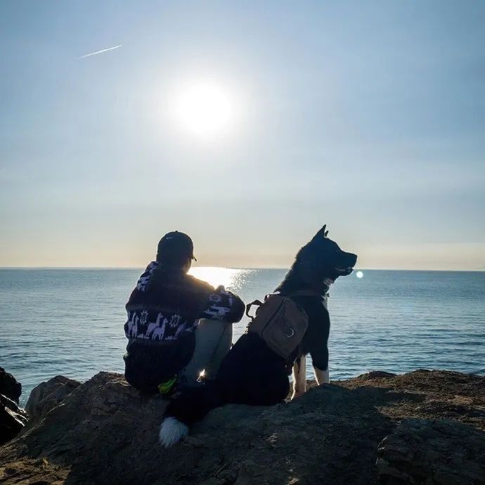 头像：日常简单好看的微信头像QQ