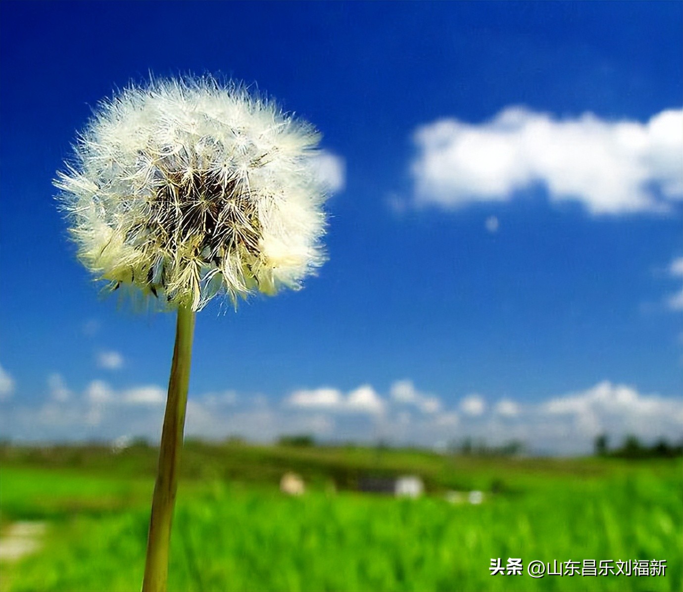 就发几段互不相关的话吧