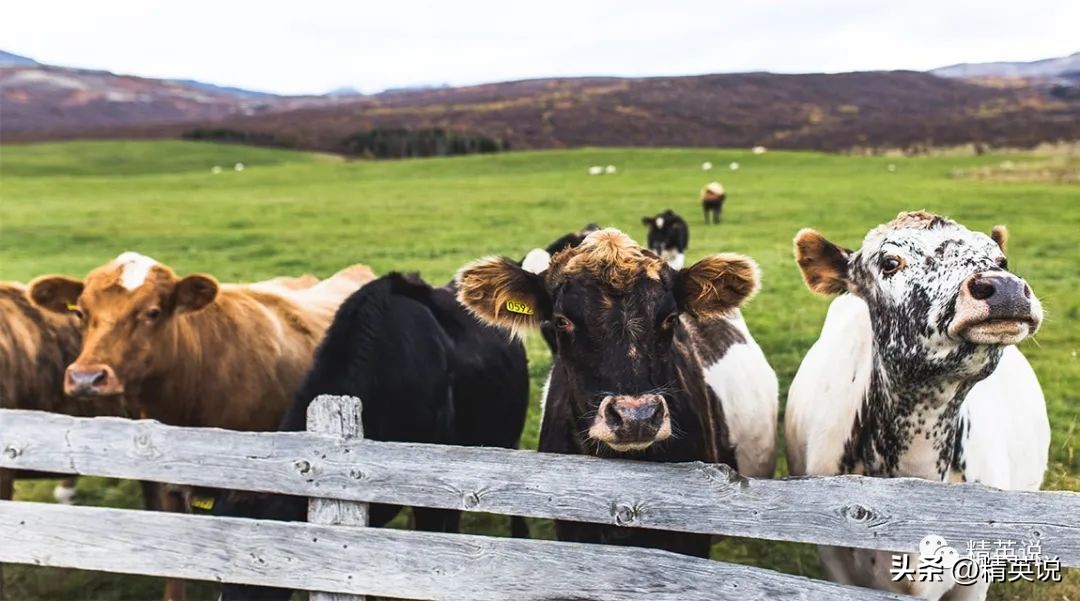 英国记者揭露抑郁症,调查显示中国有多少抑郁症患者