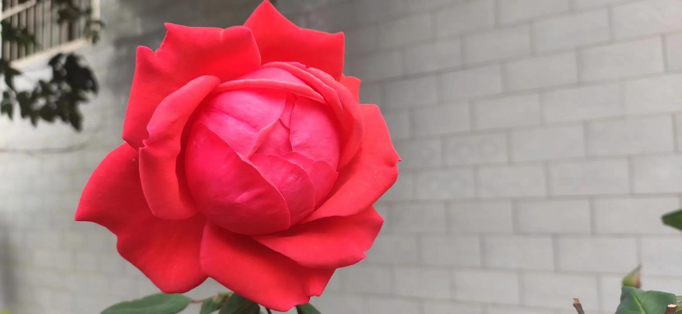 一三一生不带来死不带去