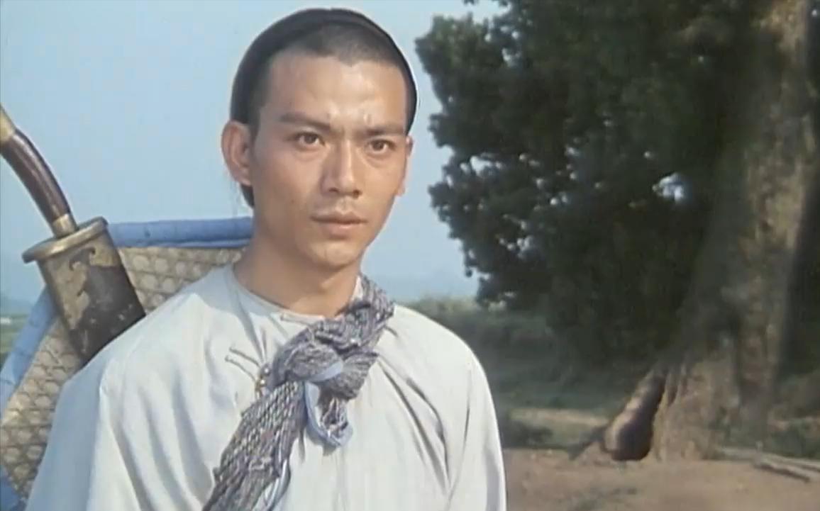 武打演员哪个最厉害,武打明星南拳王