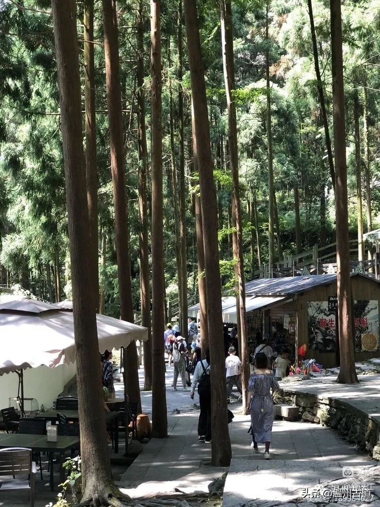 雁荡山的七大景区,雁荡山八大景区哪个更值得去