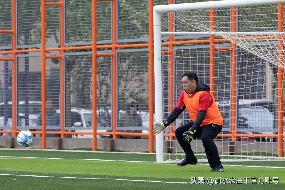 衡水老白干篮球联赛2020,衡水老白干石家庄活动