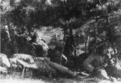 抗美援朝，被我国志愿军干趴下的6个国家，王牌*队军**三天被击败