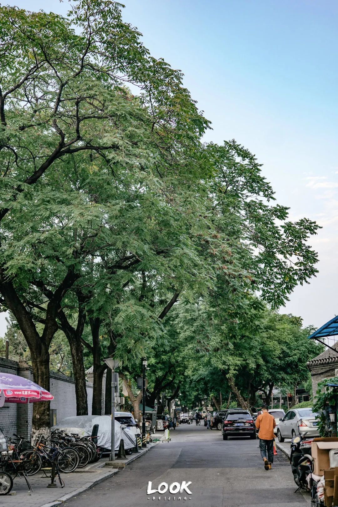 北京什刹海赏景的好地方,北京什刹海附近攻略