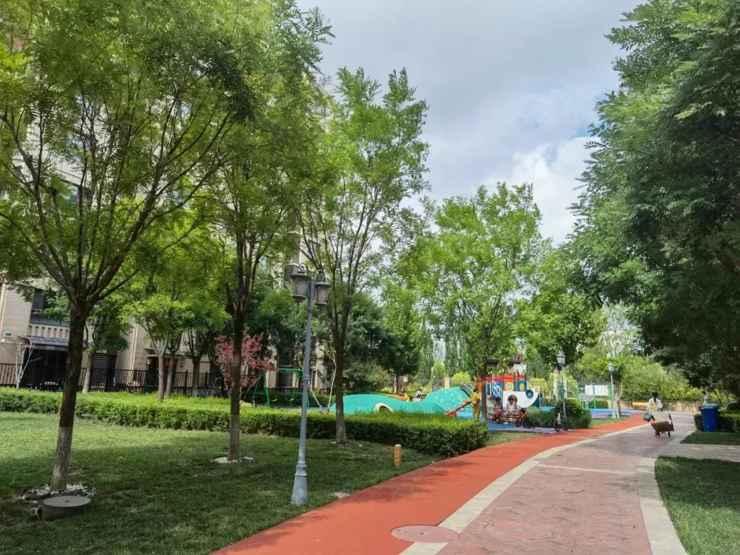 武清区龙湾城优缺点,老白带你探房