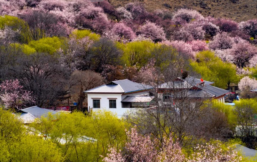 日喀则最美的风景图片,西藏日喀则绝美图片