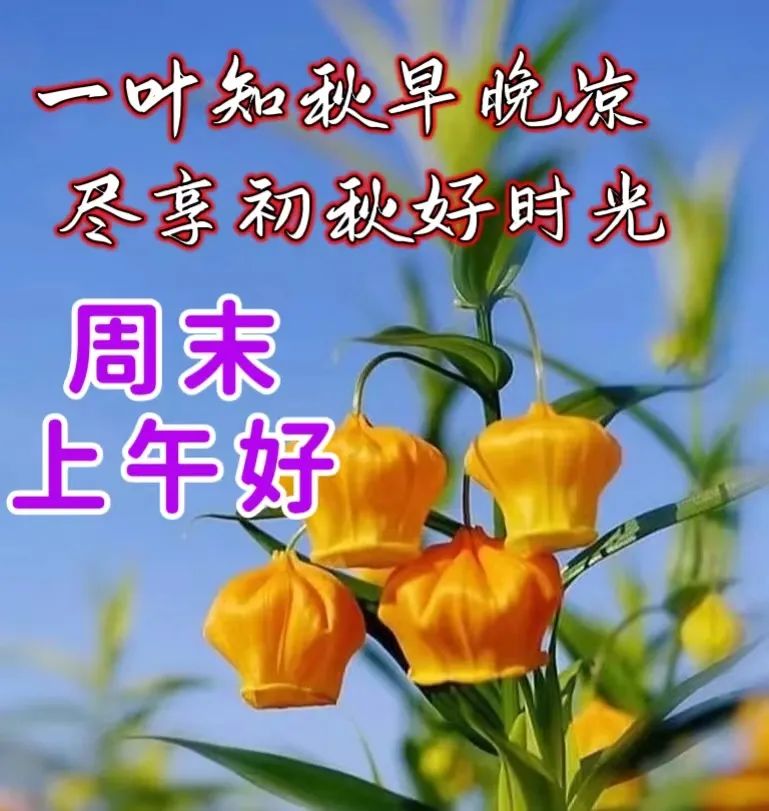 九月早上祝福,九月九早上好的祝福视频