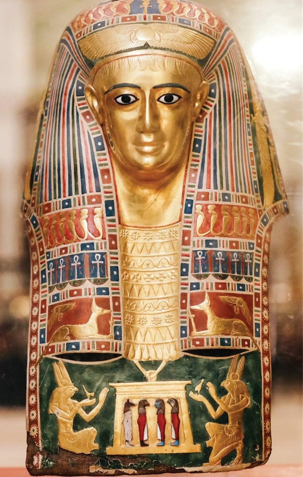 加蓬黑脸猩猩,加蓬长尾猴图片