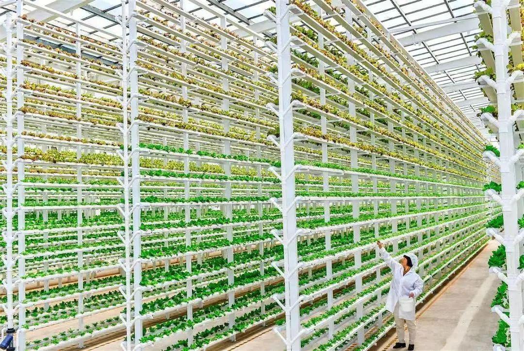 过年买给小朋友的零食礼物,致小朋友的一份礼物请查收