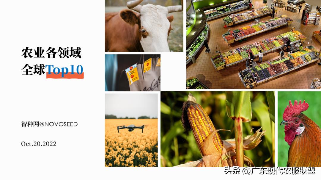 国内涉农企业有哪些,中国涉农企业2019排行榜