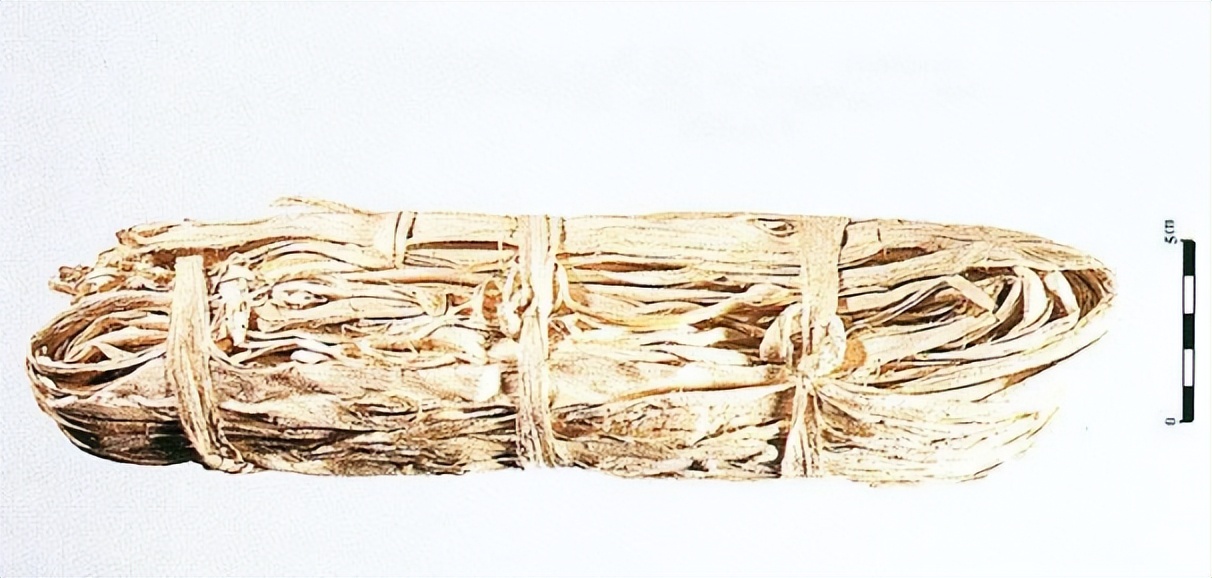 如何挑选桑白皮,带你识别中草药