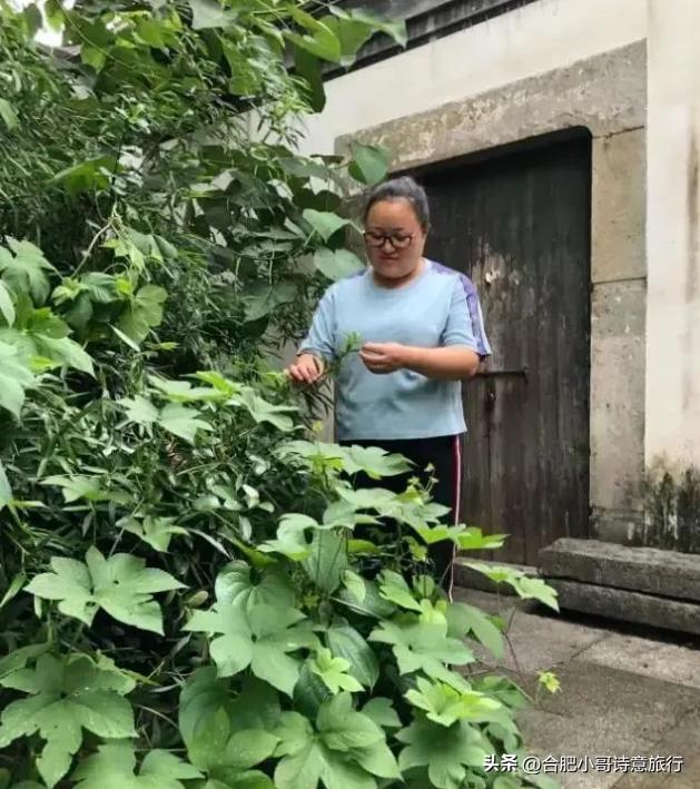 莺子朗诵《中医》作者：贺江平