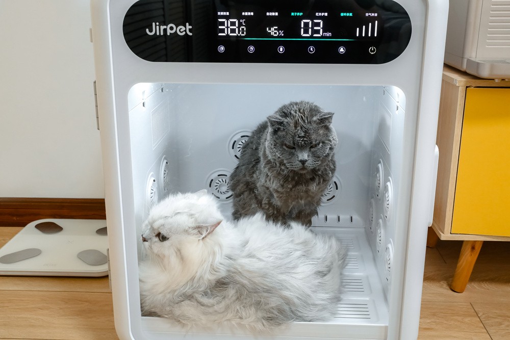 铲屎官福音:烘干箱不止高效快干大空间,JirpetF1首发体验有惊喜