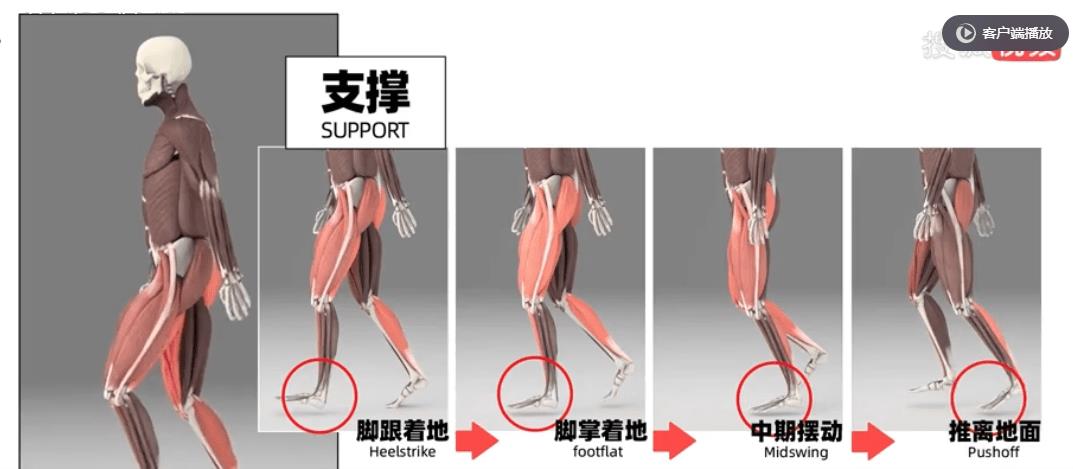 鞋带狂人必备：换个打法鞋带不散架！