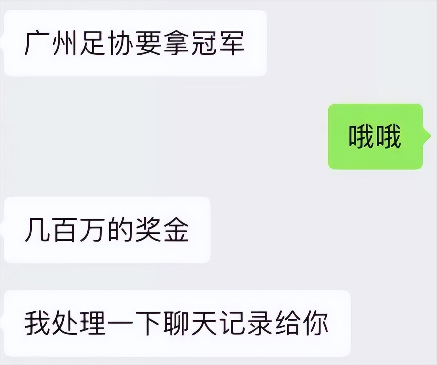 广州队球员被开除,广州足球俱乐部公司董事长被开除